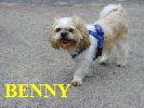 BENNY