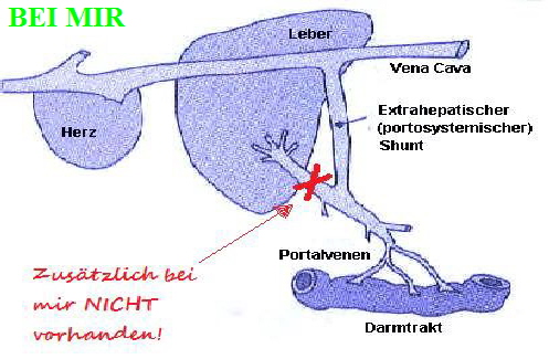 BEI MIR