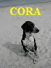 CORA