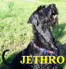 JETHRO
