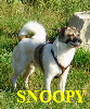 SNOOPY